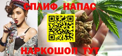 скорость Будённовск