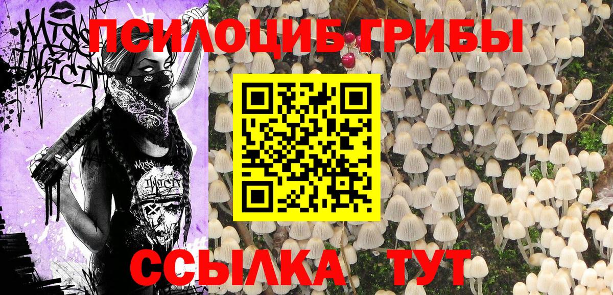 Галлюциногенные грибы мухоморы  Галлюциногенные грибы GOLDEN TEACHER  Балахна  Вход с VPN 